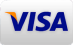 we accept Visa we accept Visa